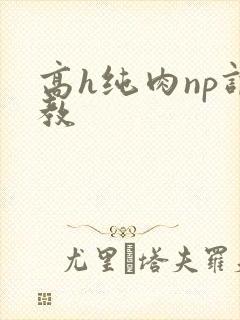高h纯肉np调教