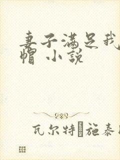 妻子满足我的绿帽 小说