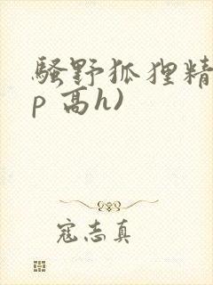 骚野狐狸精(np 高h)