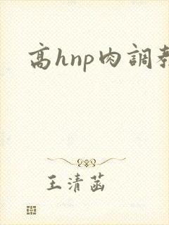 高hnp肉调教