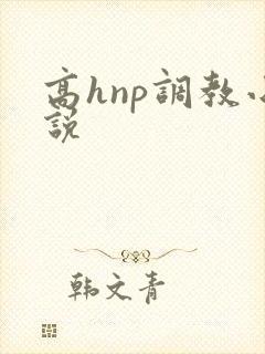 高hnp调教小说