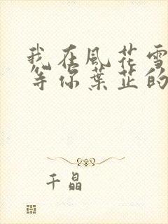 我在风花雪月里等你叶芷的孩子