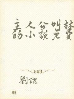 主人公叫林不悔的小说免费阅读封面