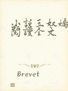 小说玉奴娇免费阅读全文