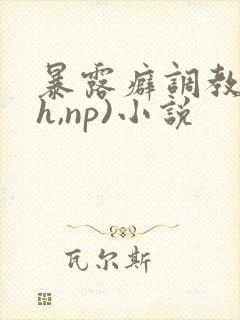 暴露癖调教(高h,np)小说