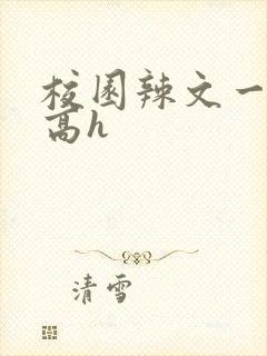 校园辣文一对一高h