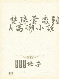 双珠套脔到她哭h高潮小说