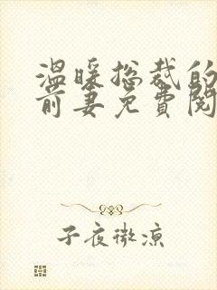 温暖总裁的替身前妻免费阅读封面