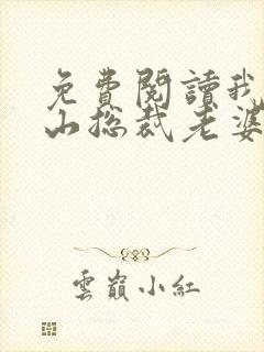 免费阅读我的冰山总裁老婆小说封面