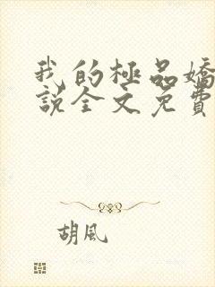 我的极品娇妻小说全文免费阅读