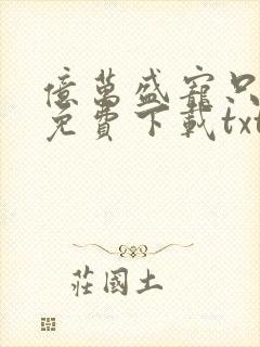 亿万盛宠只为你免费下载txt封面