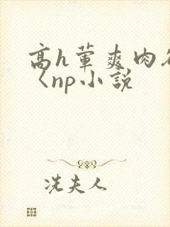 高h荤爽肉欲文〈np小说