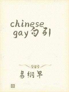 chinese gay勾引封面