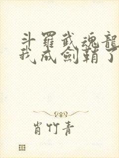 斗罗武魂龙渊剑我成剑鞘了在线阅读封面