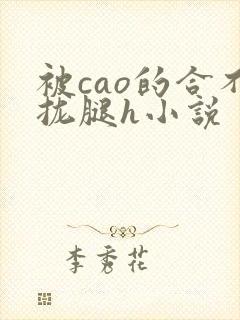 被cao的合不拢腿h小说