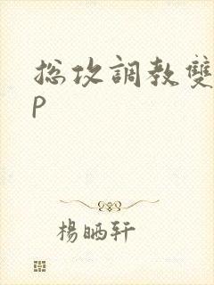 总攻调教双性np