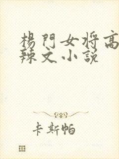 杨门女将高h文辣文小说