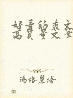 好看的爽文小说高质量文笔好封面