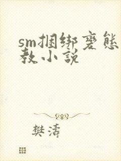 sm捆绑变态调教小说