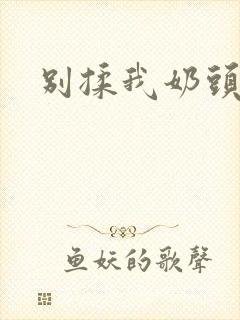 别揉我奶头嗯啊封面