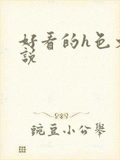 好看的h色文小说