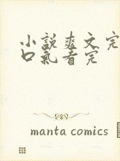 小说爽文完结一口气看完