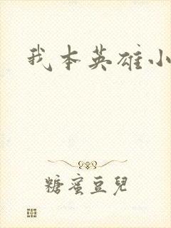 我本英雄小说