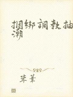 捆绑调教抽逼高潮