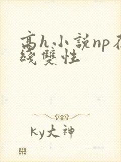高h小说np在线双性