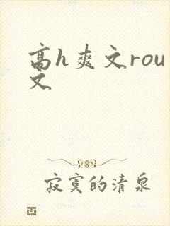 高h爽文rou文