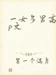 一女多男高hnp文封面