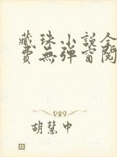 藏珠小说全文免费无弹窗阅读封面