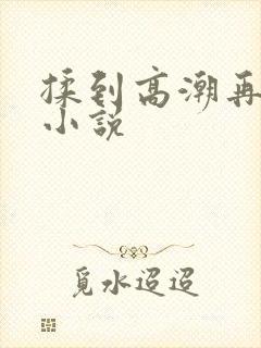 揉到高潮再c她小说