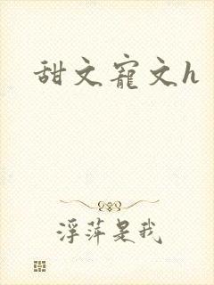 甜文宠文h