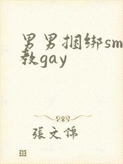 男男捆绑sm调教gay封面