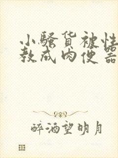 小骚货被性虐调教成肉便器小说封面