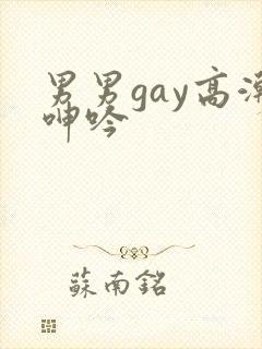 男男gay高潮呻吟