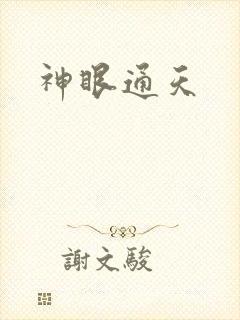 神眼通天封面
