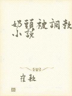 奶头被调教大的小说