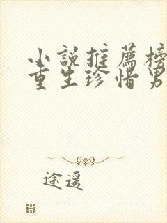 小说推荐榜女主重生珍惜男主