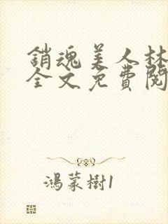 销魂美人林婷婉全文免费阅读小说