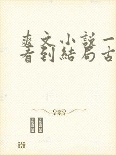 爽文小说一口气看到结局古言