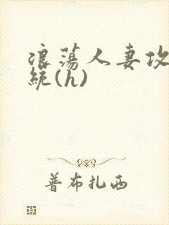 浪荡人妻攻略系统(h)