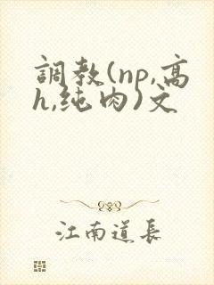 调教(np,高h,纯肉)文封面