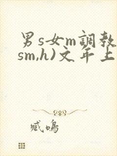 男s女m调教(sm,h)文年上