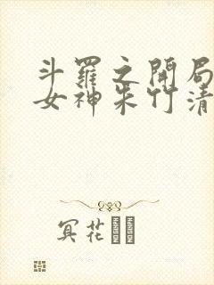 斗罗之开局俘获女神朱竹清封面