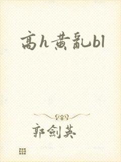 高h黄乱bl