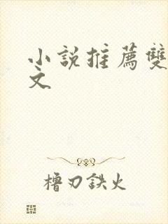 小说推荐双男主文封面