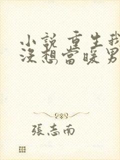 小说 重生我真没想当暖男