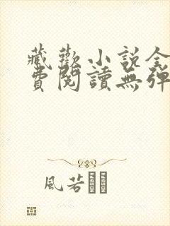 藏欢小说全文免费阅读无弹窗